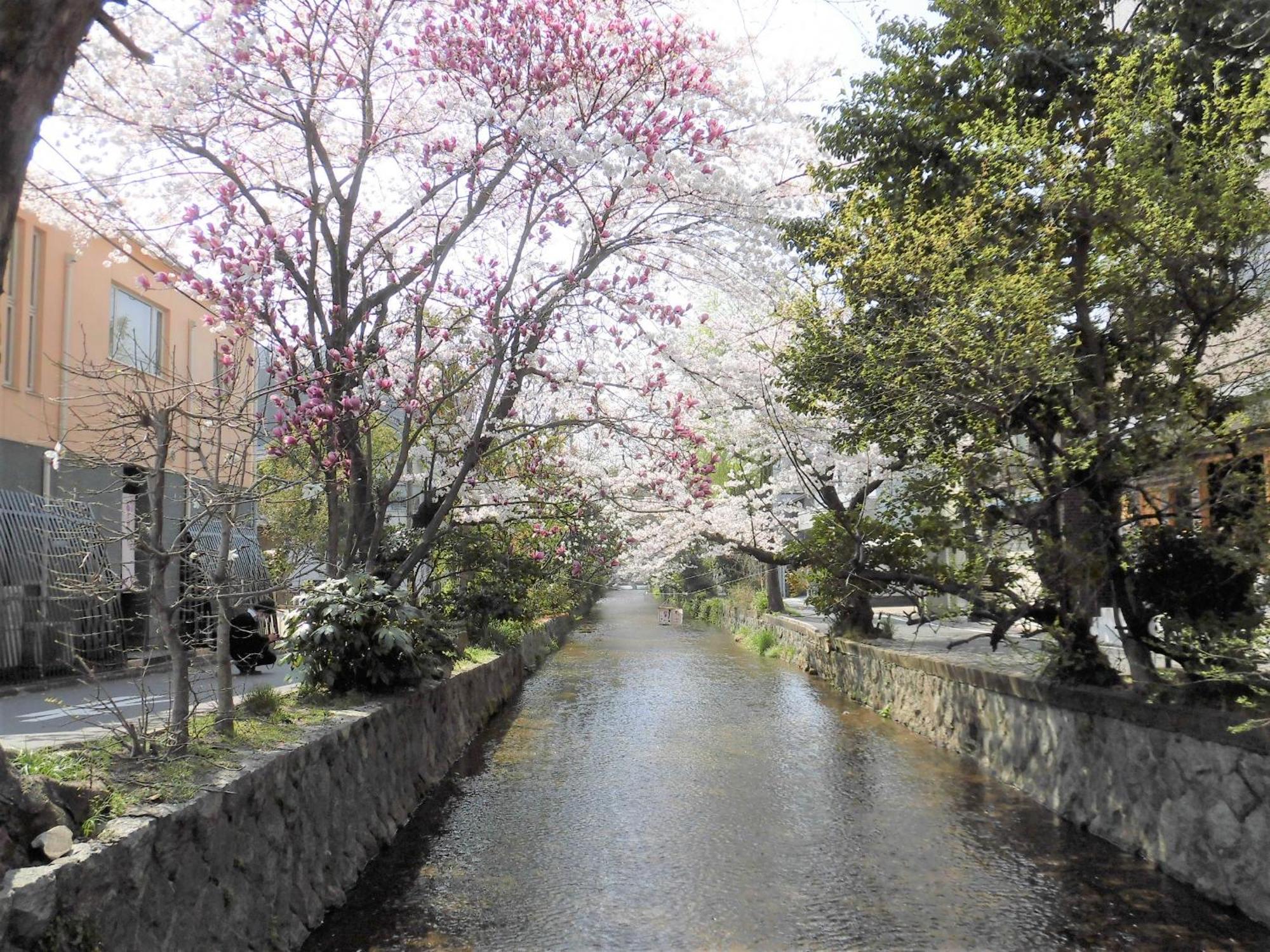 Hotel Il Verde Kyoto Exterior foto